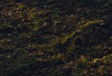 2号向你抱怨他人，怎么回应?