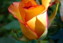 一号人格容易出现的问题