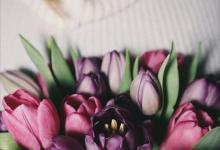 4w5九型侧翼性格特征介绍