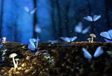 9号和平型压力状态