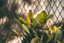 2 号人格的经典人物