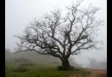 九型人格的相处之道——二号助人型