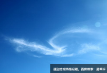 九型人格中七号案例分享