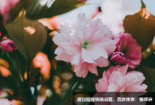 认识你自己——九型人格之6号