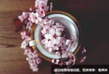 九型人格之6号——中国愤青的由来已久
