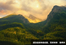 忠诚型性格童年形象解析
