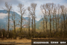 九型人格中六号人绝对不会做的事情