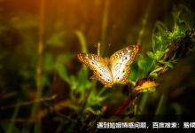 《九型人格》文中对六号怀疑论者的描述