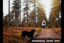 六号疑惑型性格形态的气质特征