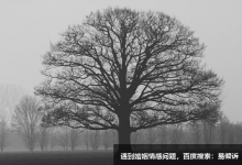 九型人格之六号疑惑型人的性格特质重点