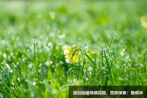 《九型人格的智慧》之类型五的副型