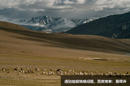 针对5号观察者的发展训练