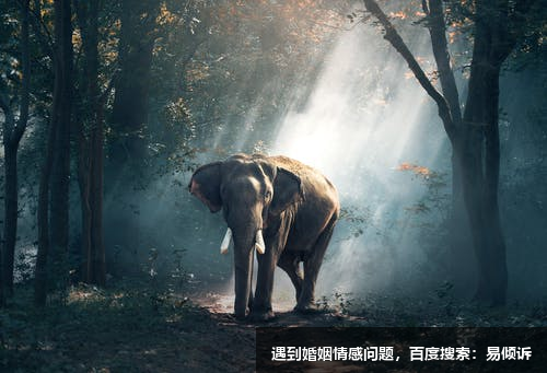 与五号理智型沟通的注意事项