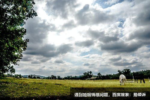 职场恋爱之五号理智型在团队中