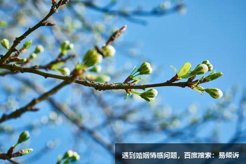职场恋爱之五号理智型的信号