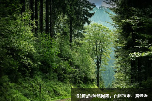 三号成就型与五号理智型相处