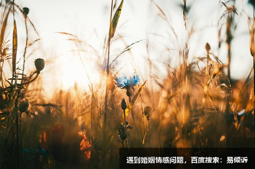 针对三号成就型客户的销售技巧