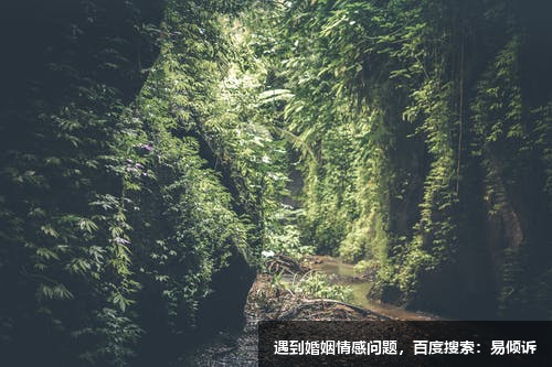三号的成长方向