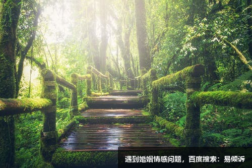 3号性格与国家：美国