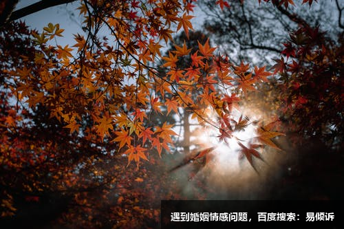 社会生活中的3号