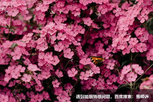 3号-只有成功，没有失败（2）