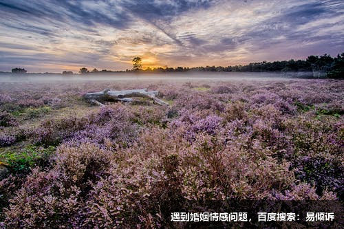 3号实干者的档案