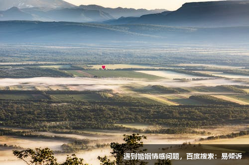 与第五类型共事的基本前提