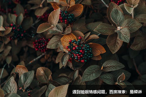 理智型性格人的身形特点