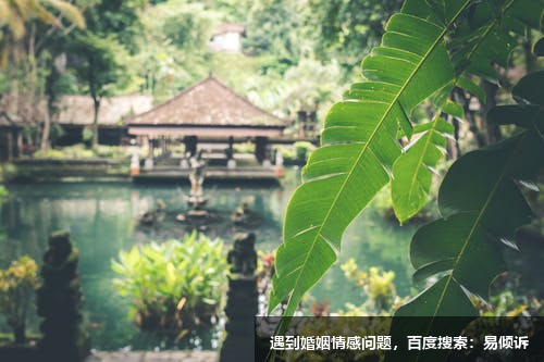 九型人格二号组织—传奇式的客户服务