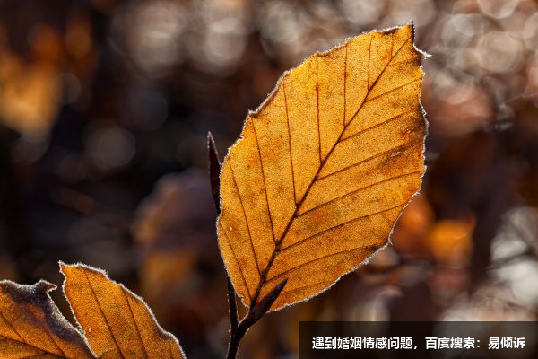 九型人格二号与其他型号的关系