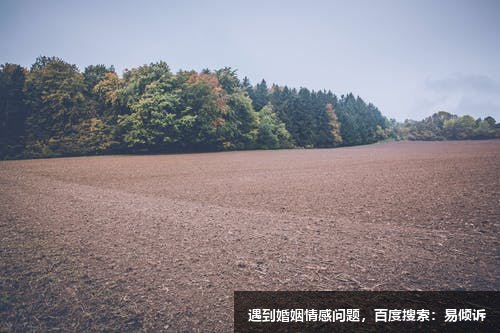 九型人格调查问卷：2号助人型