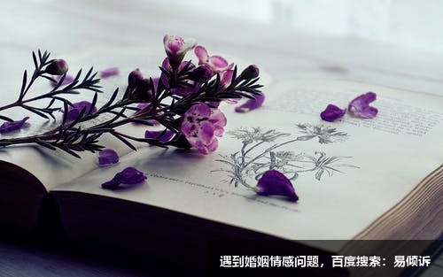 九型人格二号助人型--因帮助他人而来的力量