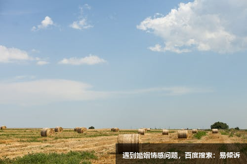 二号性格管理者的管理风格