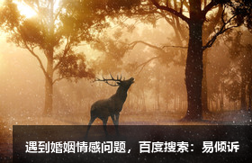 给予者的档案