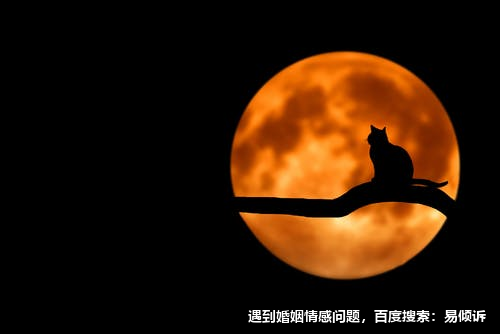 二号助人型性格者的沟通特点
