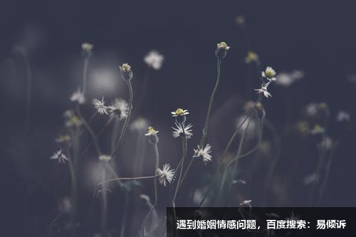 与二号给予者的相处技巧