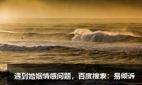 二号给予者的个人发展