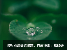 九型人格--三号成就型的形象意识