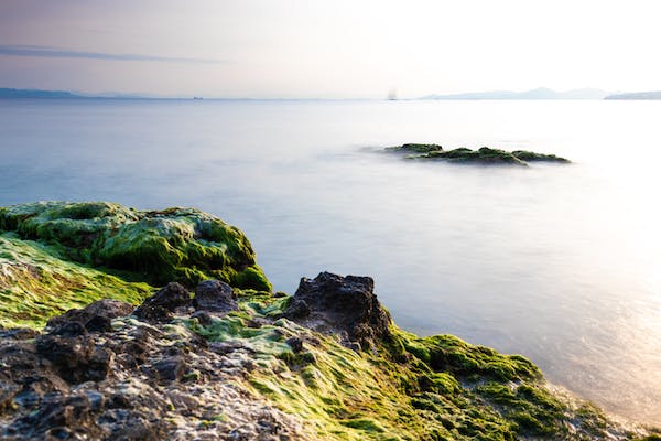 一对一型2号——“浪漫情人”