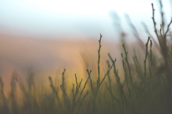 有关退缩型4号、5号、9号