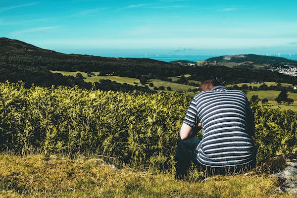 五号理智型自尊感高低之分别