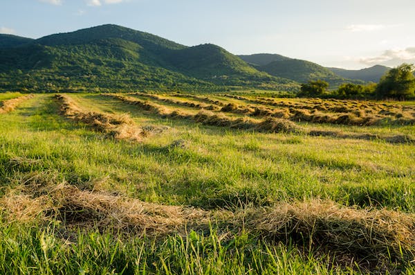 九型人格怎么控制你的怒火（1）