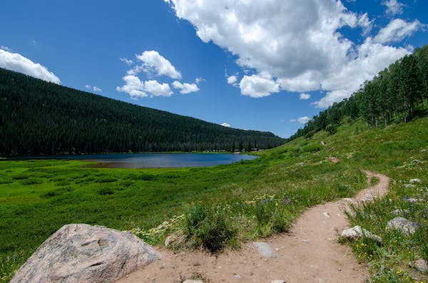 九型人格中的腹中心人的性格特点