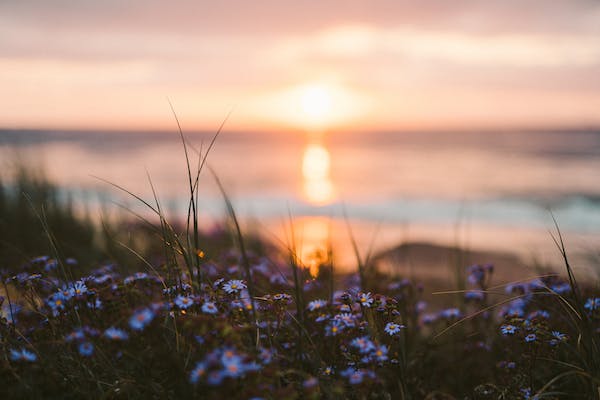 学习九型性格几个需要的规则