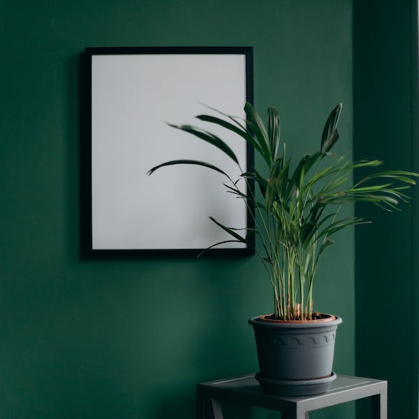 我们怎样解释人格？