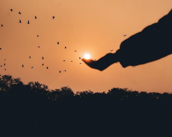 ISFJ女生的个人特点