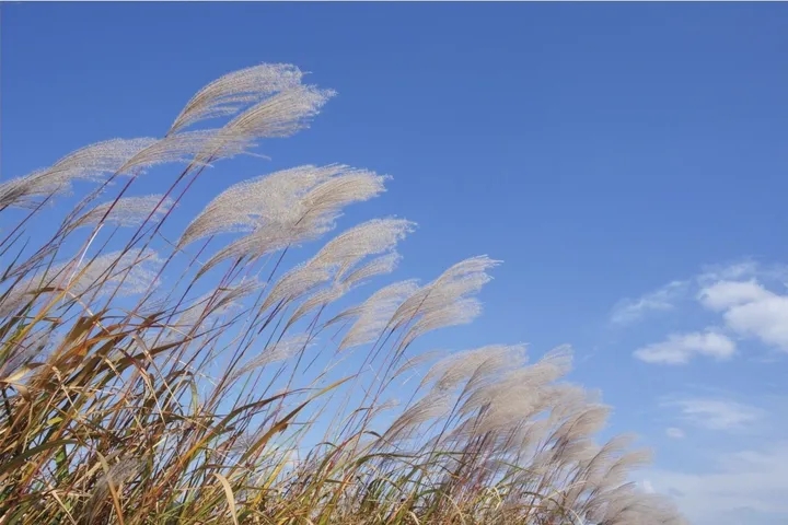 INFJ 的最差匹配