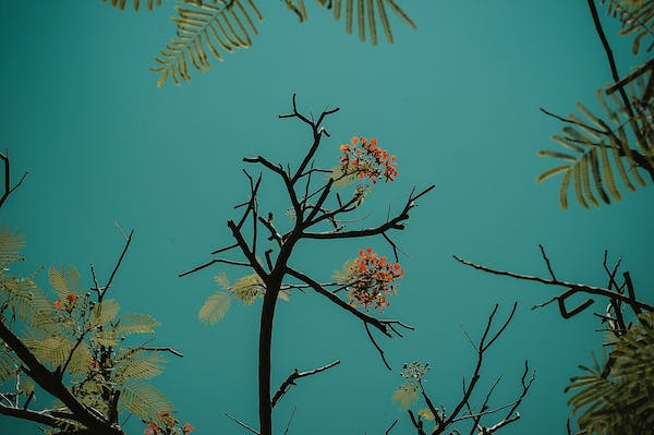 如何和ESFJ保持舒适关系