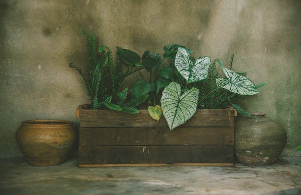 逻辑学家（INTP）人格的人通常是理智、冷静、有思维深度和