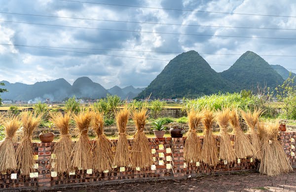 ISTP在关系中渴望什么？